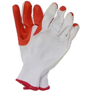 GLOVE CRAYFISH